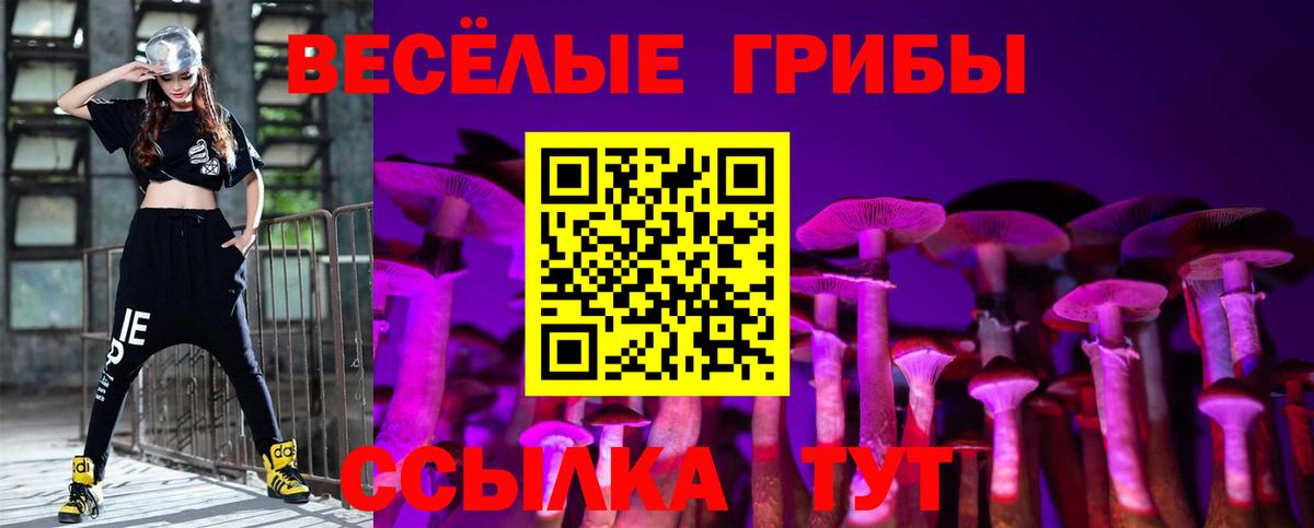 Прокопьевск  Псилоцибиновые грибы GOLDEN TEACHER  Вход с VPN 